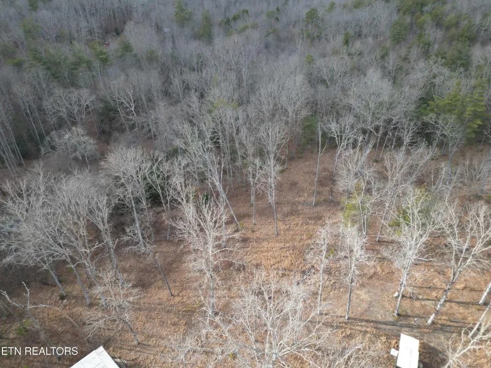 566 William Branch Rd Lancing, TN 37770