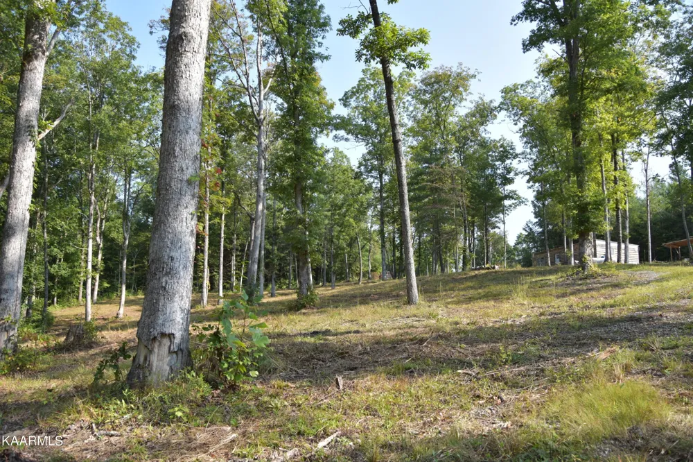 566 William Branch Rd Lancing, TN 37770
