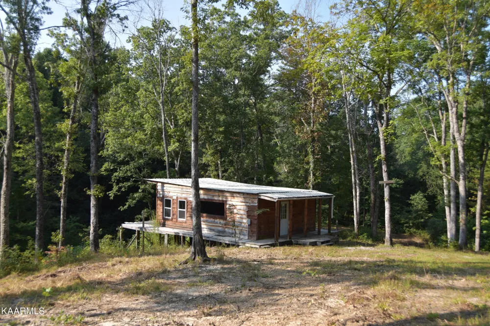 566 William Branch Rd Lancing, TN 37770