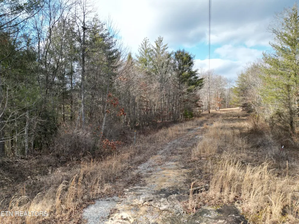 566 William Branch Rd Lancing, TN 37770