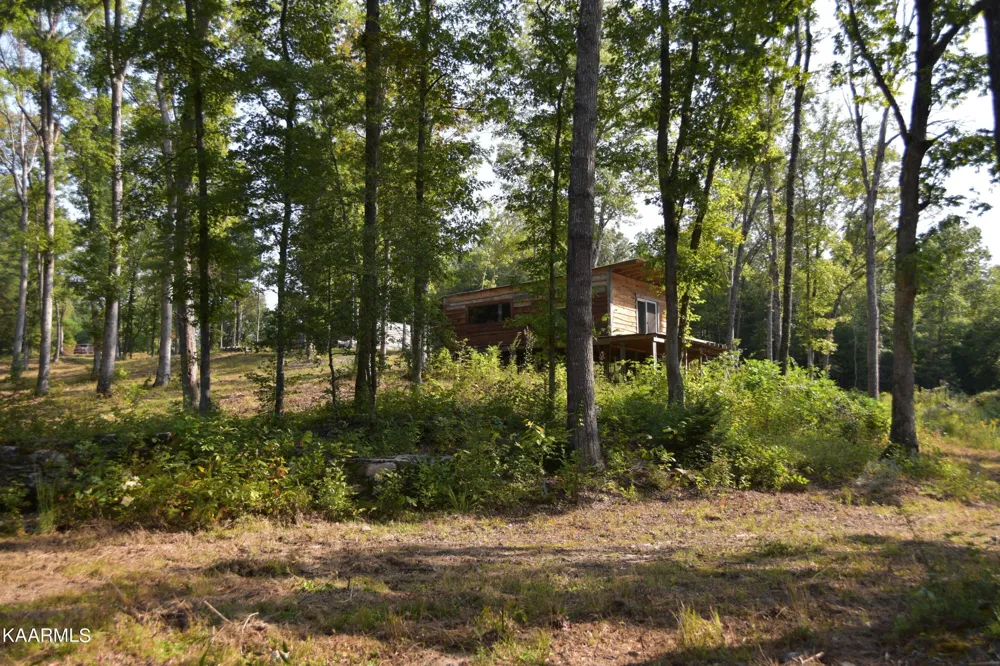 566 William Branch Rd Lancing, TN 37770