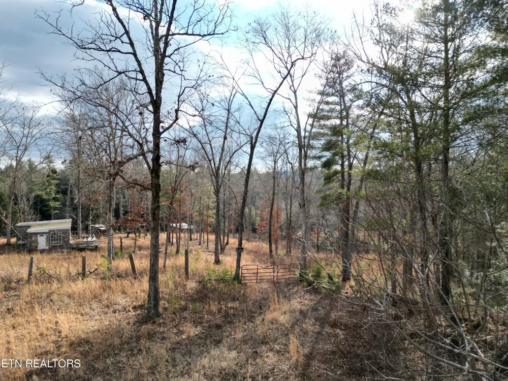 566 William Branch Rd Lancing, TN 37770