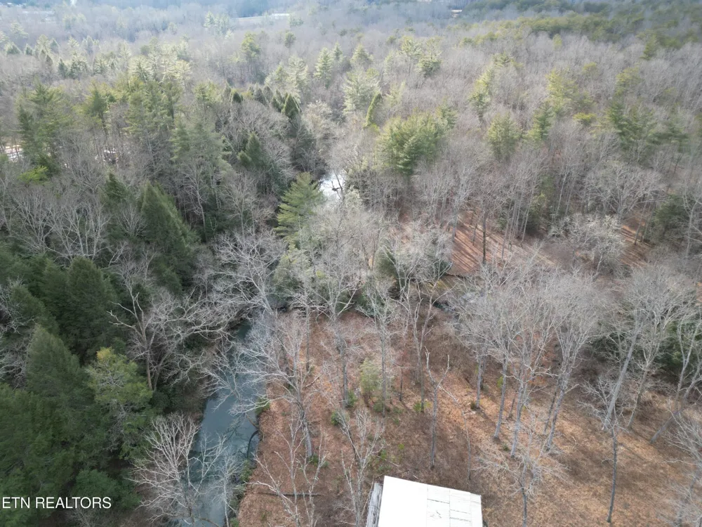 566 William Branch Rd Lancing, TN 37770