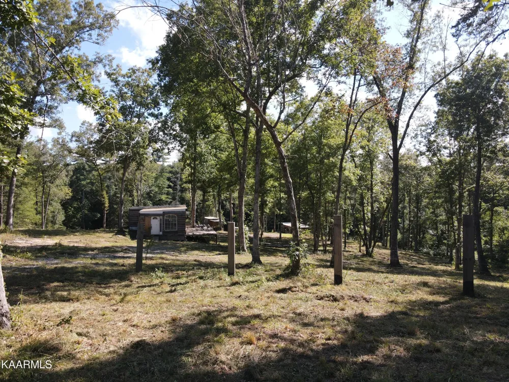 566 William Branch Rd Lancing, TN 37770
