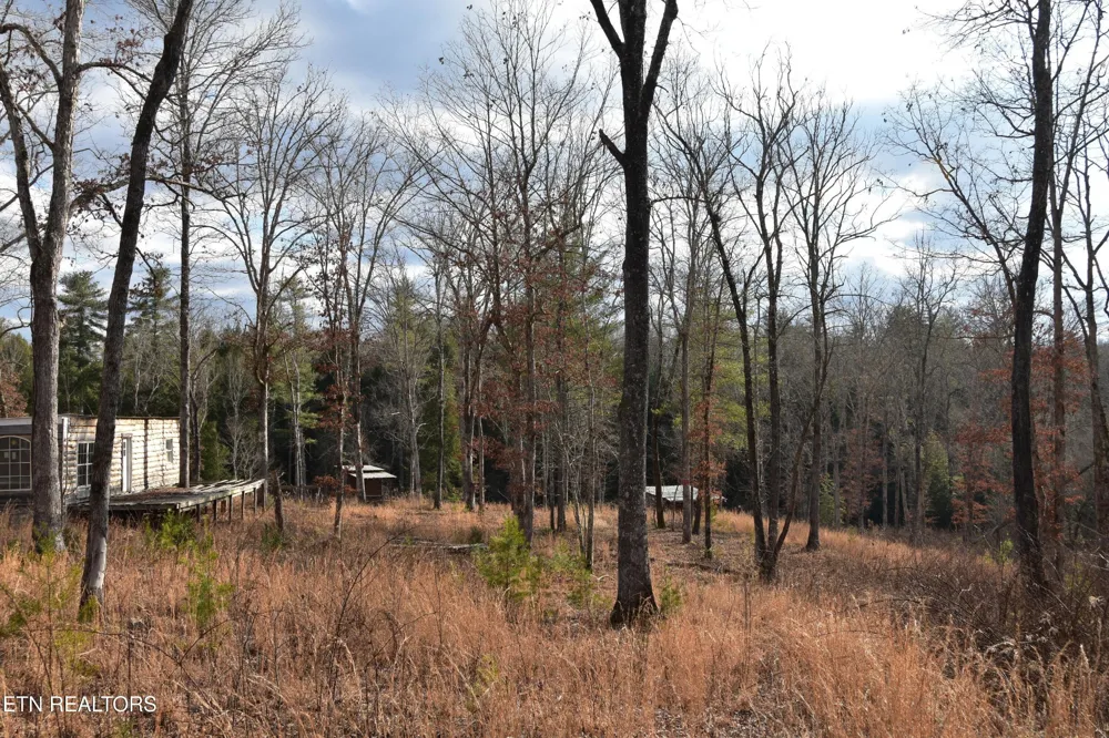 566 William Branch Rd Lancing, TN 37770