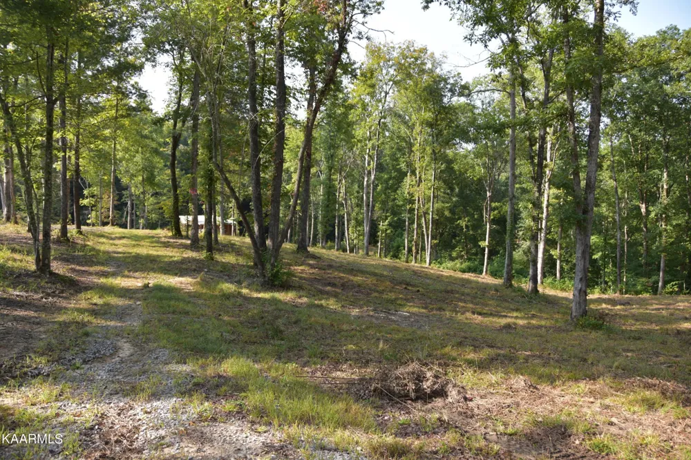 566 William Branch Rd Lancing, TN 37770