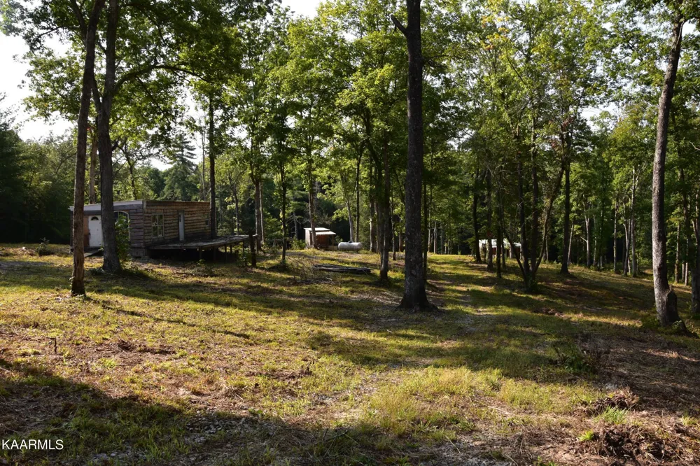 566 William Branch Rd Lancing, TN 37770