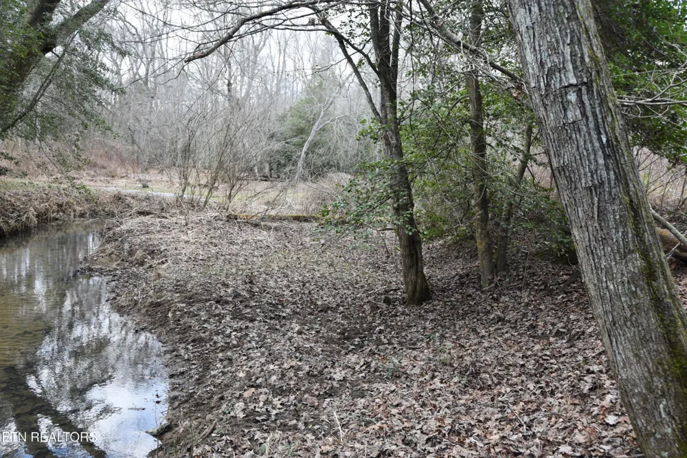 566 William Branch Rd Lancing, TN 37770