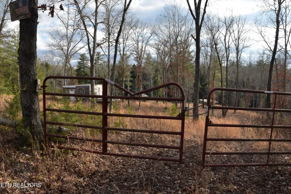 566 William Branch Rd Lancing, TN 37770