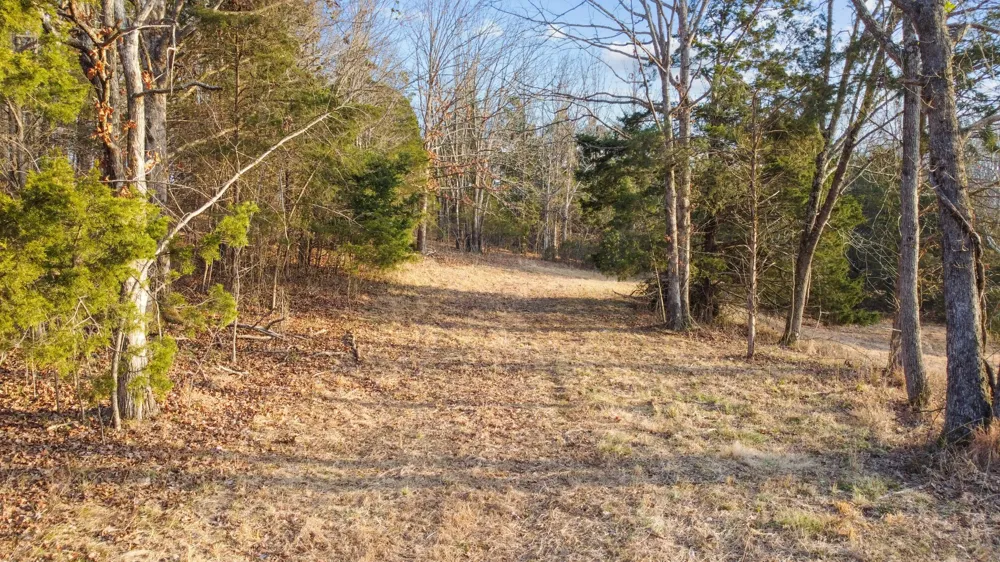 1672 Rabe Coats Rd Westmoreland, TN 37186