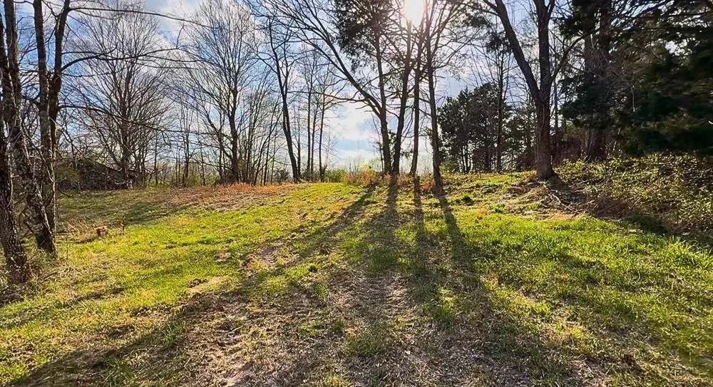 1672 Rabe Coats Rd Westmoreland, TN 37186