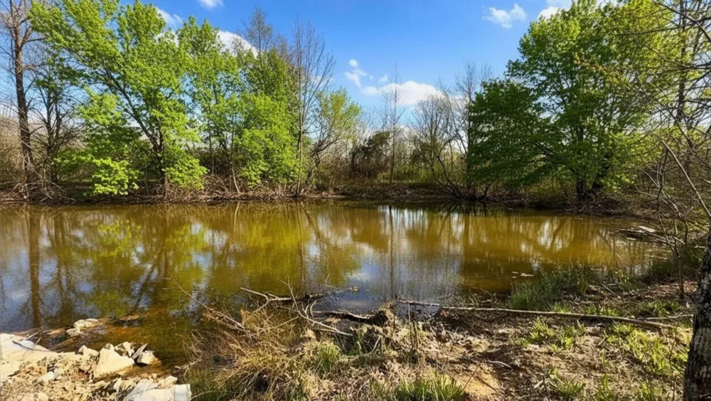 1672 Rabe Coats Rd Westmoreland, TN 37186