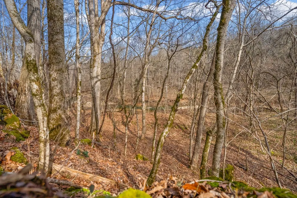 0 Harrell Ln Clarksville, TN 37043