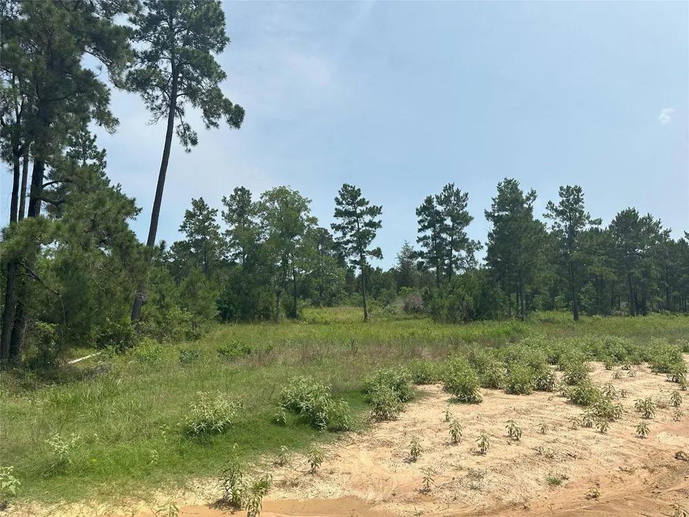 Crockett Road Waller, TX 77484