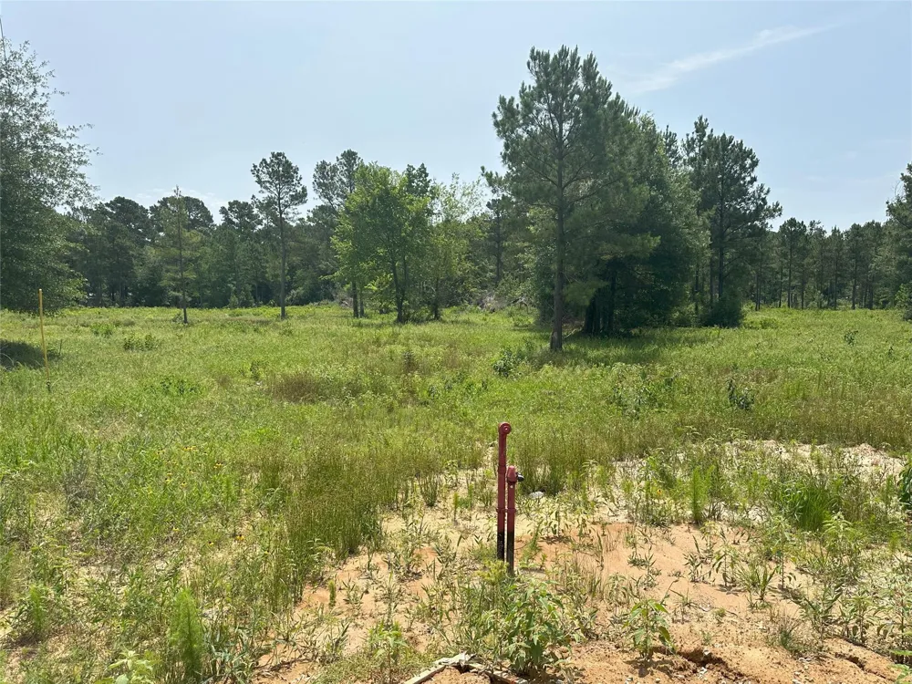 Crockett Road Waller, TX 77484