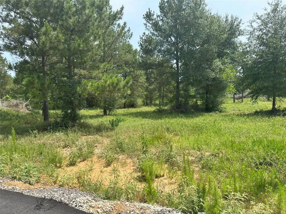 Crockett Road Waller, TX 77484