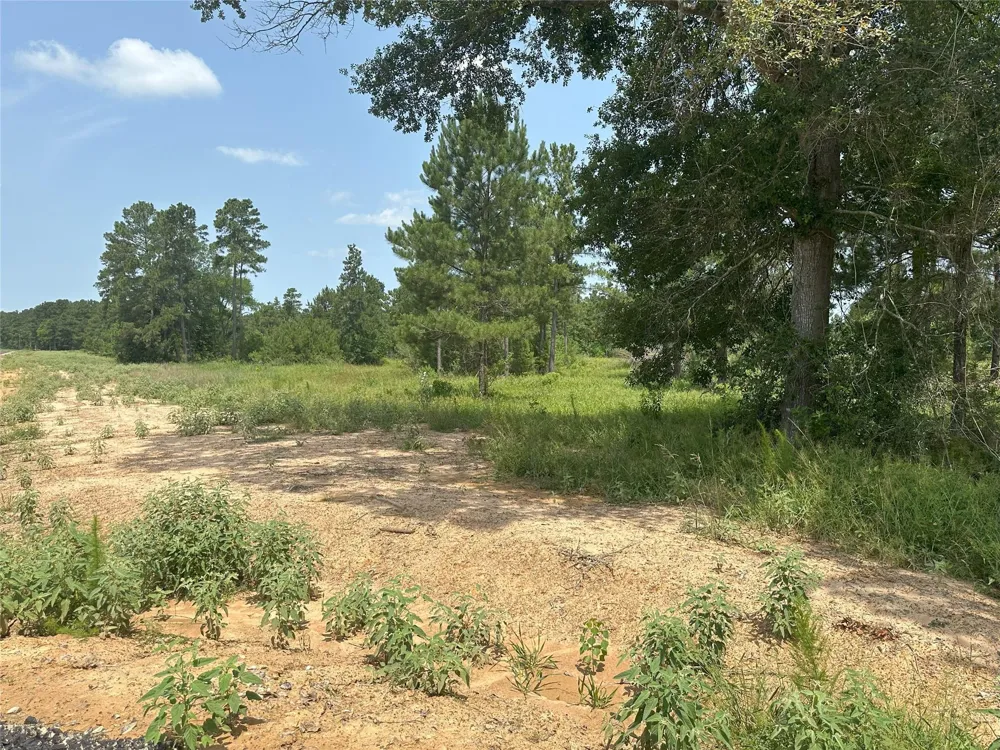 Crockett Road Waller, TX 77484