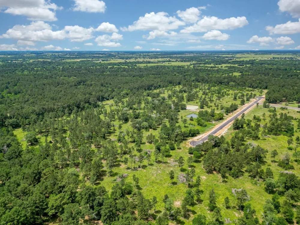 Crockett Road Waller, TX 77484