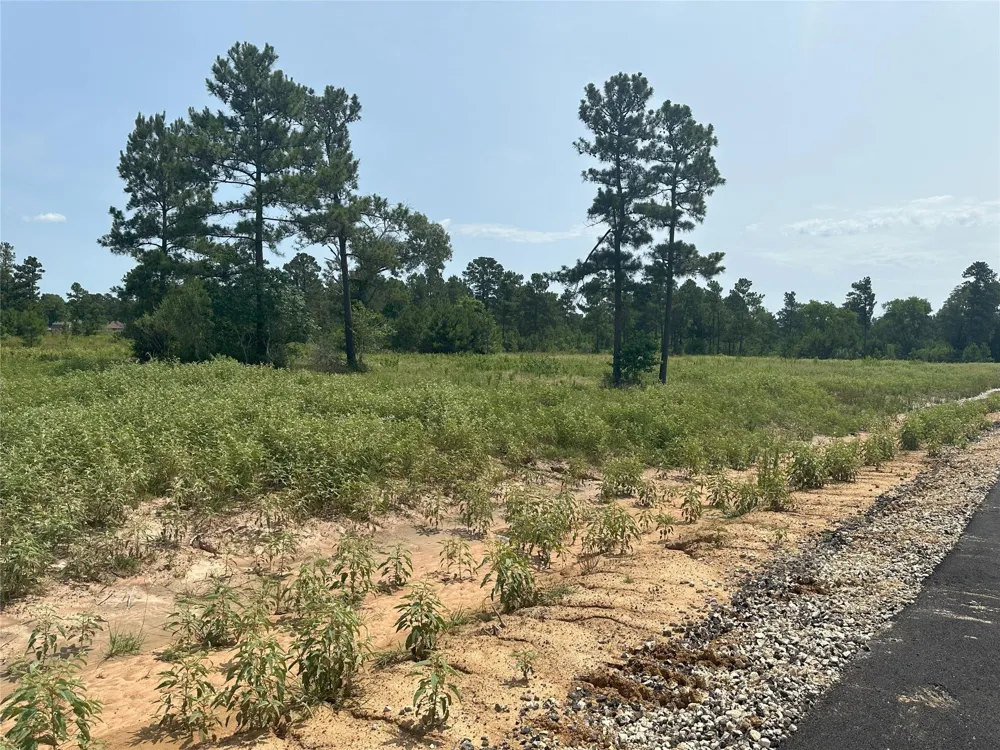 Crockett Road Waller, TX 77484