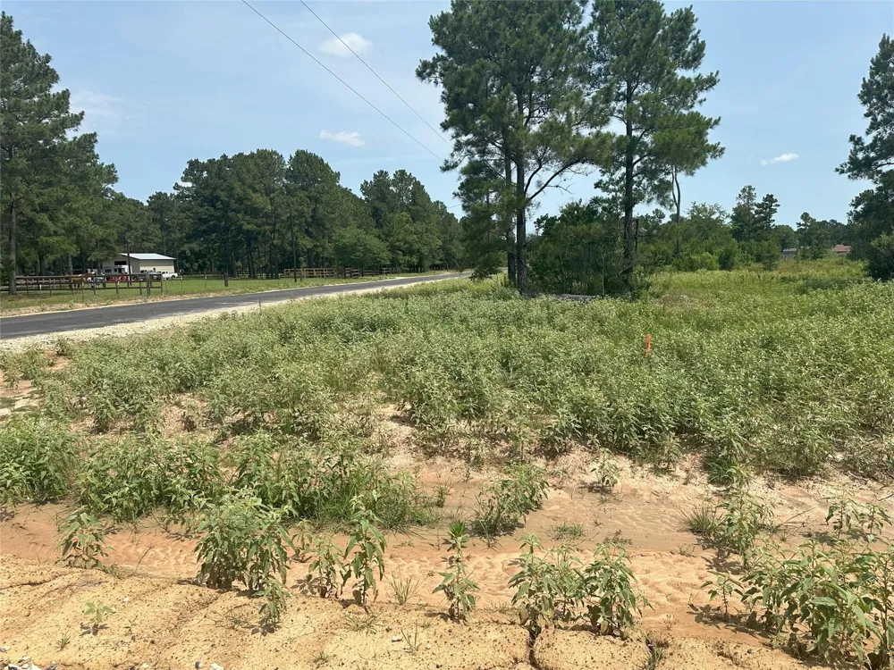 Crockett Road Waller, TX 77484