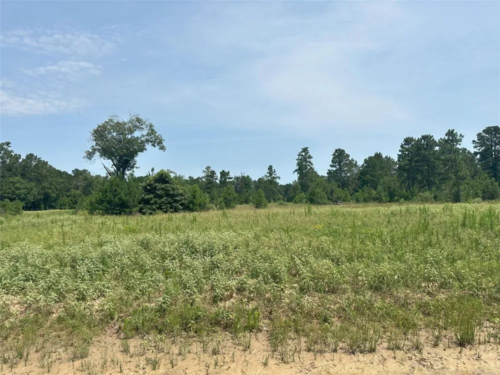 Crockett Road Waller, TX 77484