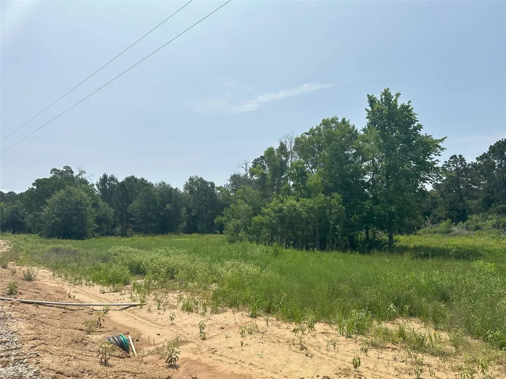 Crockett Road Waller, TX 77484