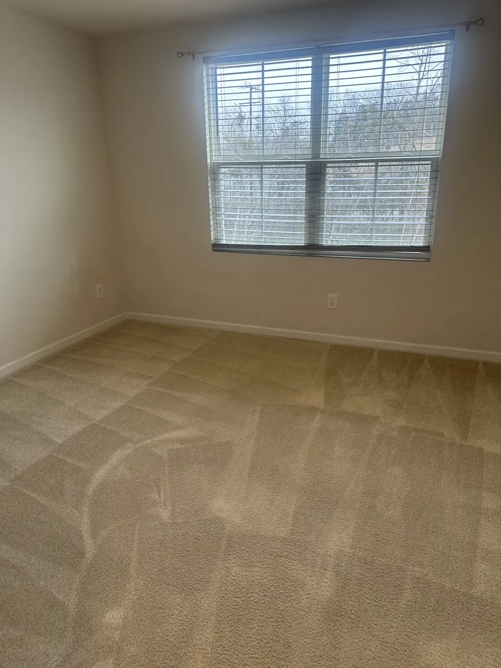 1518 Smoketree Rd Antioch, TN 37013