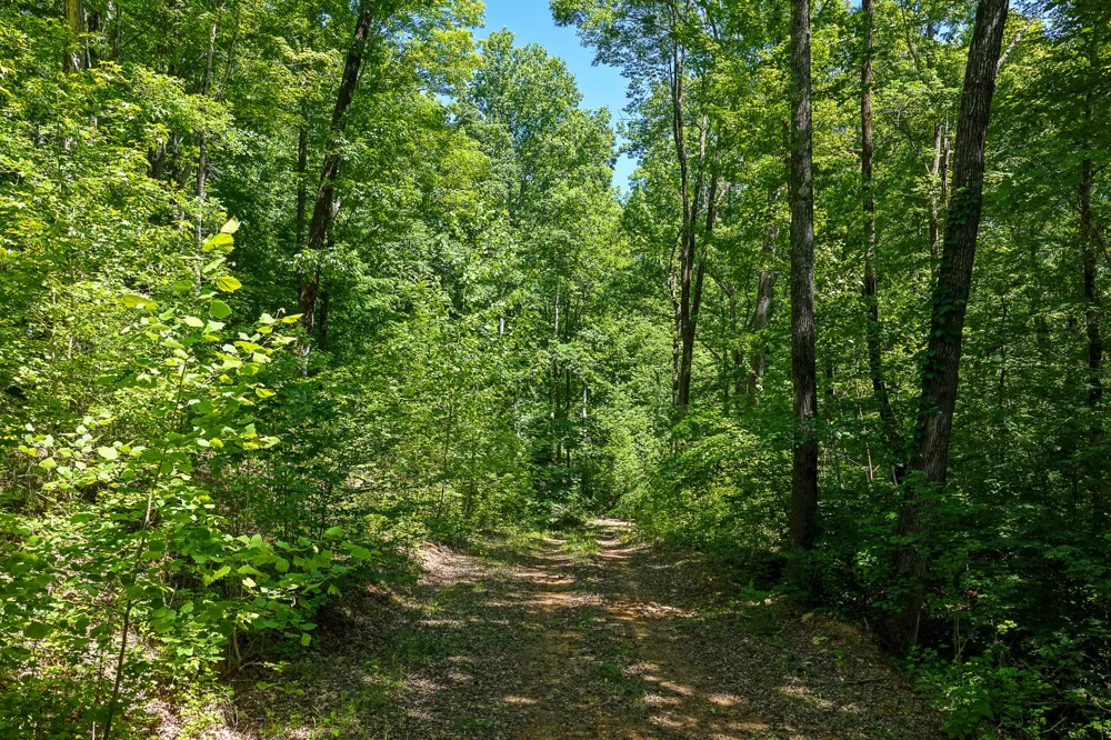 0 Mayberry Prong Rd Linden, TN 37096