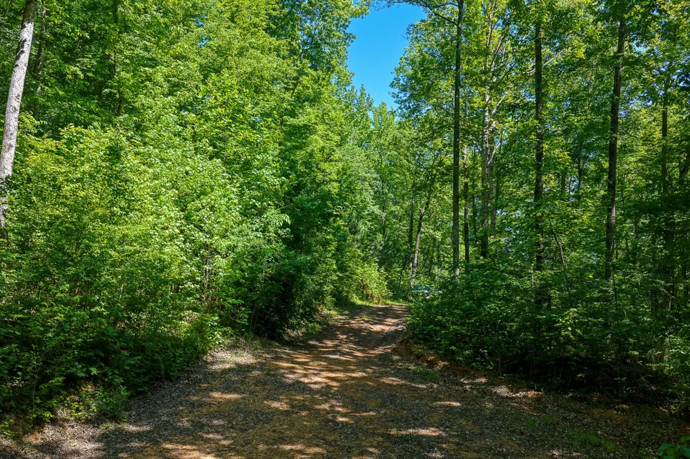 0 Mayberry Prong Rd Linden, TN 37096