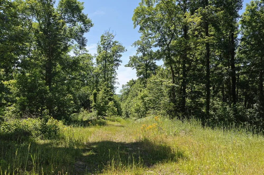 0 Mayberry Prong Rd Linden, TN 37096