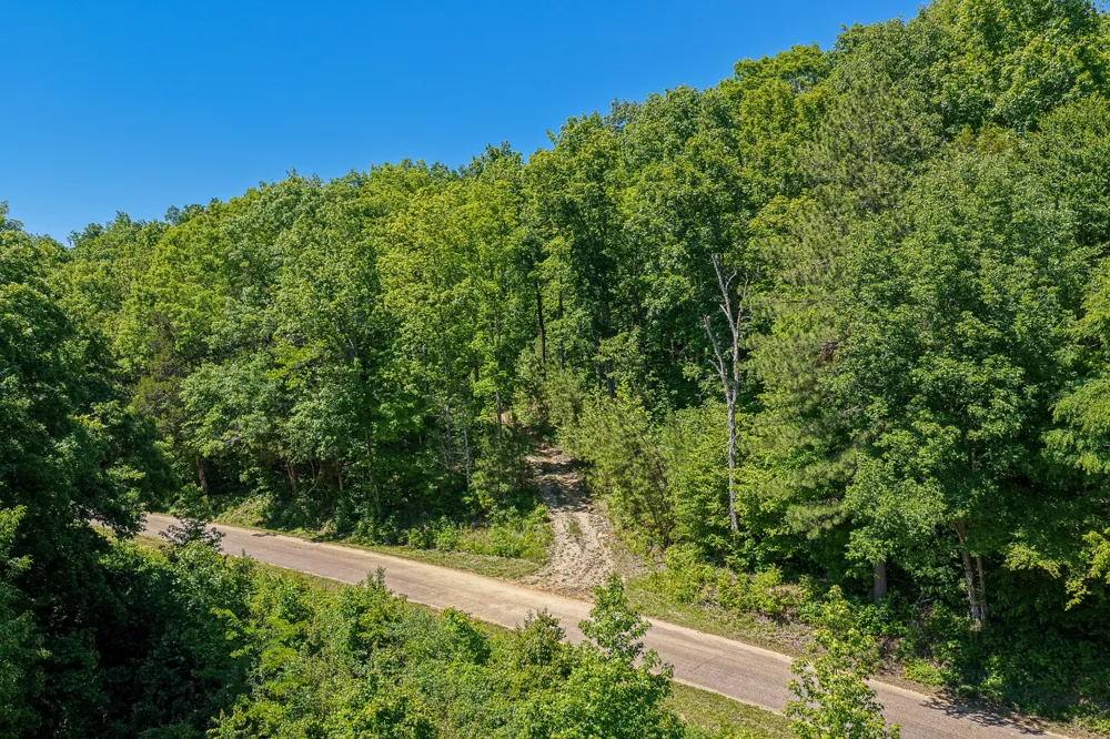 0 Mayberry Prong Rd Linden, TN 37096