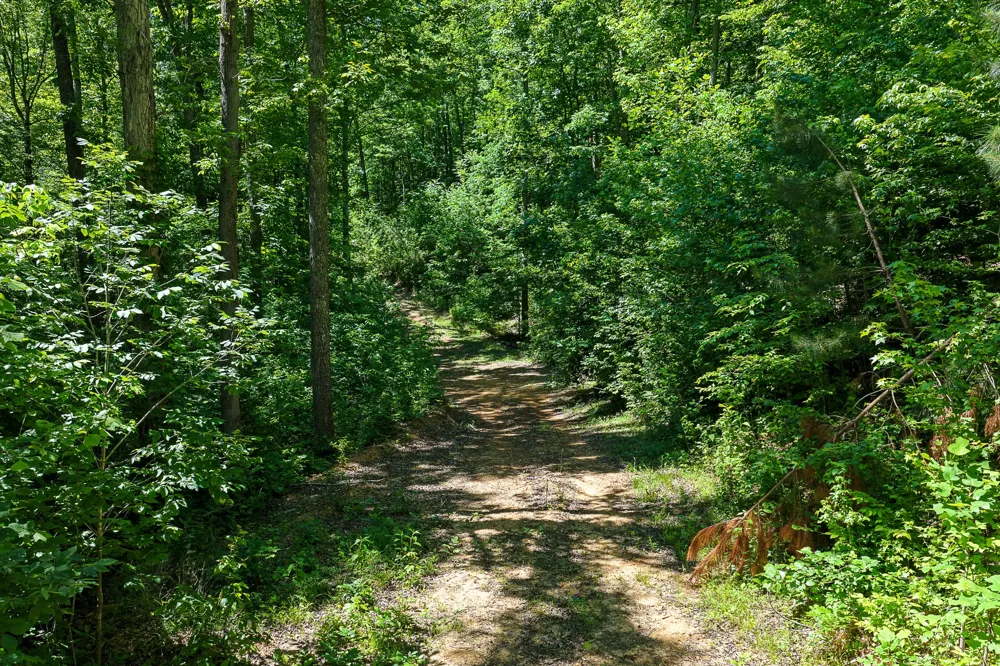 0 Mayberry Prong Rd Linden, TN 37096