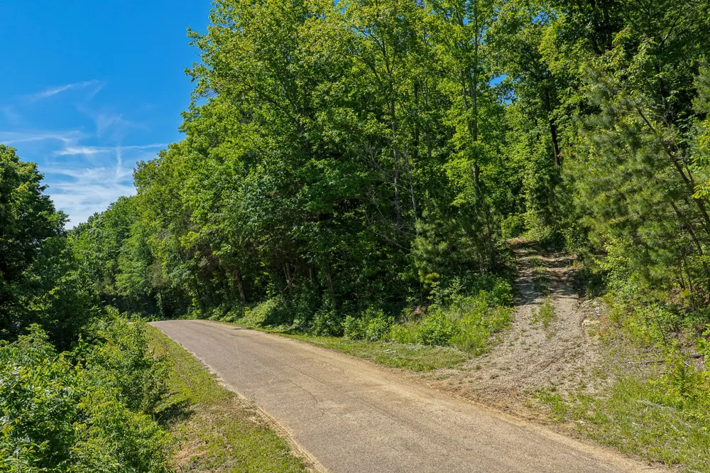 0 Mayberry Prong Rd Linden, TN 37096