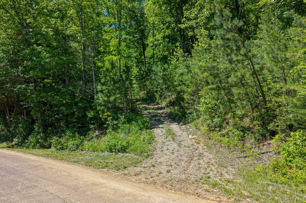 0 Mayberry Prong Rd Linden, TN 37096