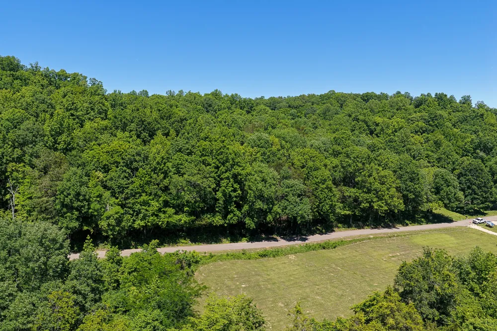 0 Mayberry Prong Rd Linden, TN 37096