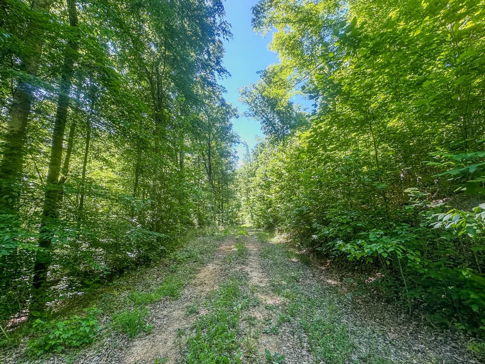 0 Mayberry Prong Rd Linden, TN 37096