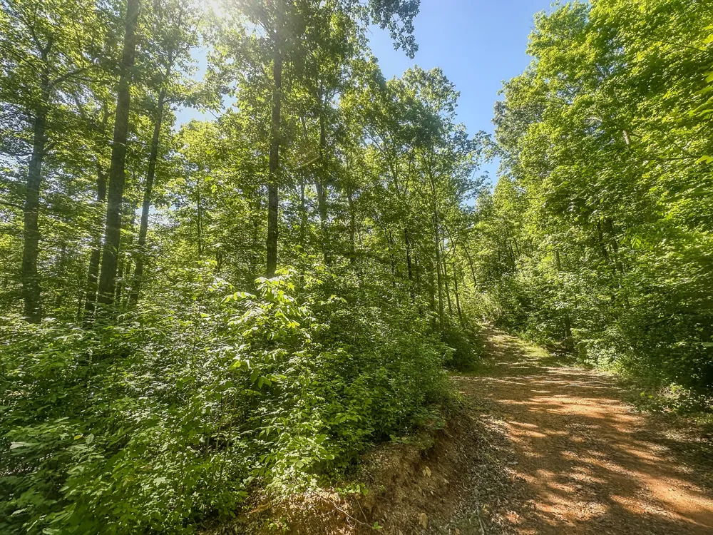 0 Mayberry Prong Rd Linden, TN 37096
