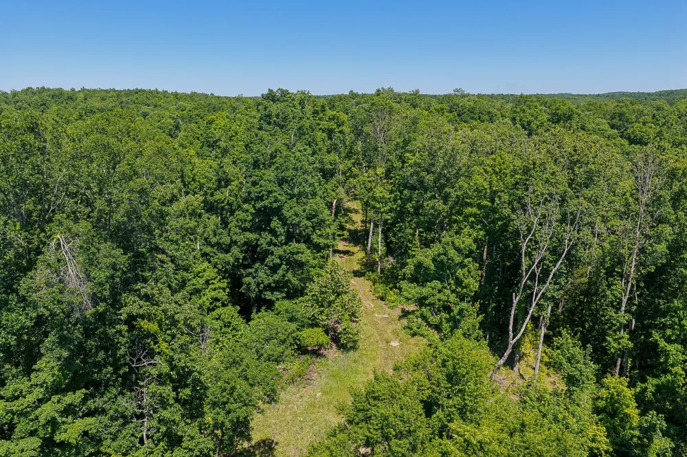 0 Mayberry Prong Rd Linden, TN 37096
