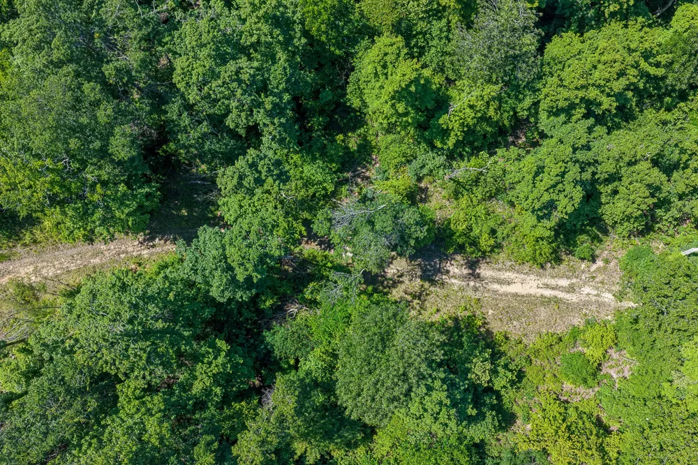 0 Mayberry Prong Rd Linden, TN 37096