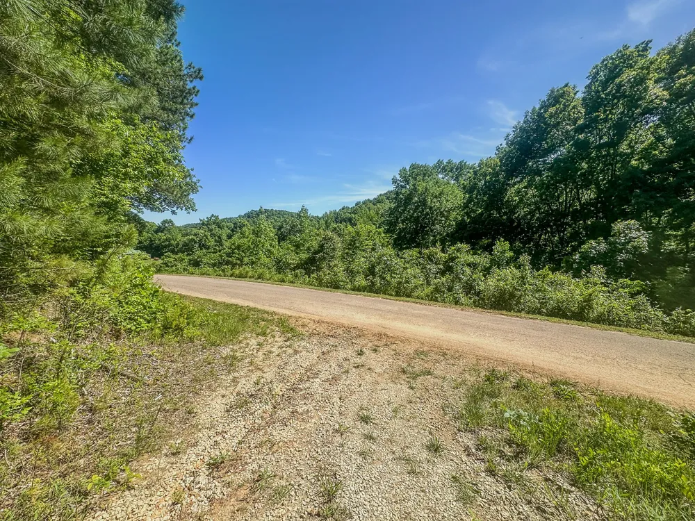 0 Mayberry Prong Rd Linden, TN 37096