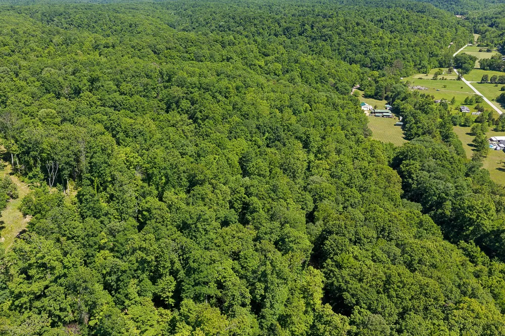 0 Mayberry Prong Rd Linden, TN 37096