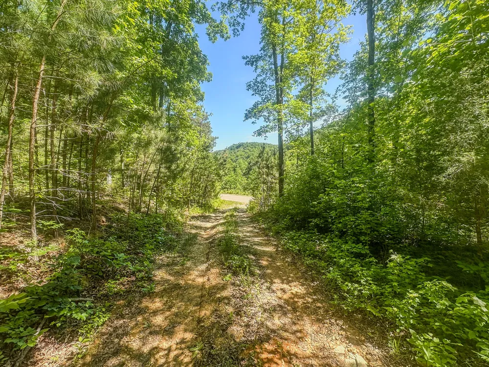 0 Mayberry Prong Rd Linden, TN 37096