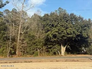 120 Rough Horn Road Evergreen, NC 28438