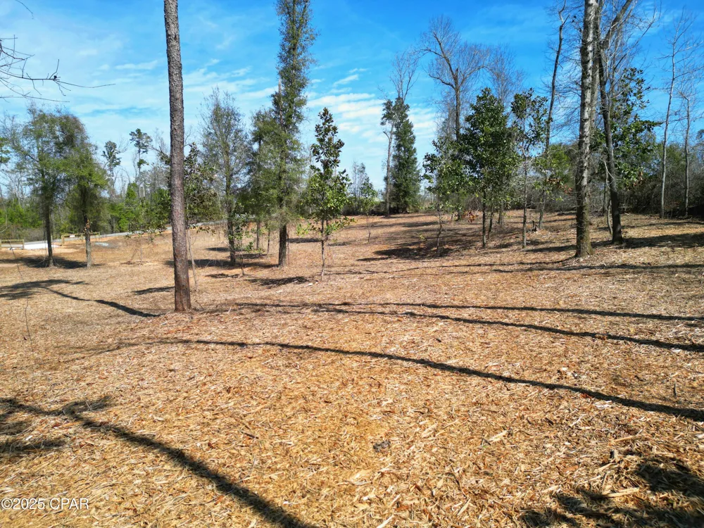 Donna Drive Marianna, FL 32446