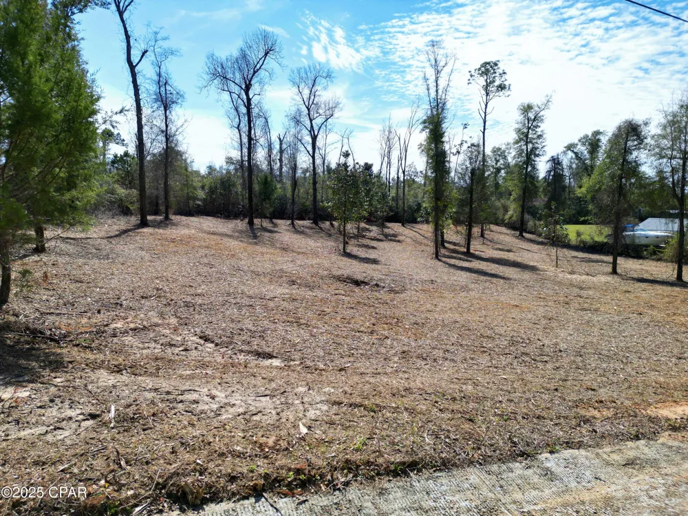 Donna Drive Marianna, FL 32446