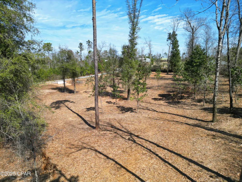 Donna Drive Marianna, FL 32446