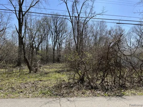 Island Boulevard