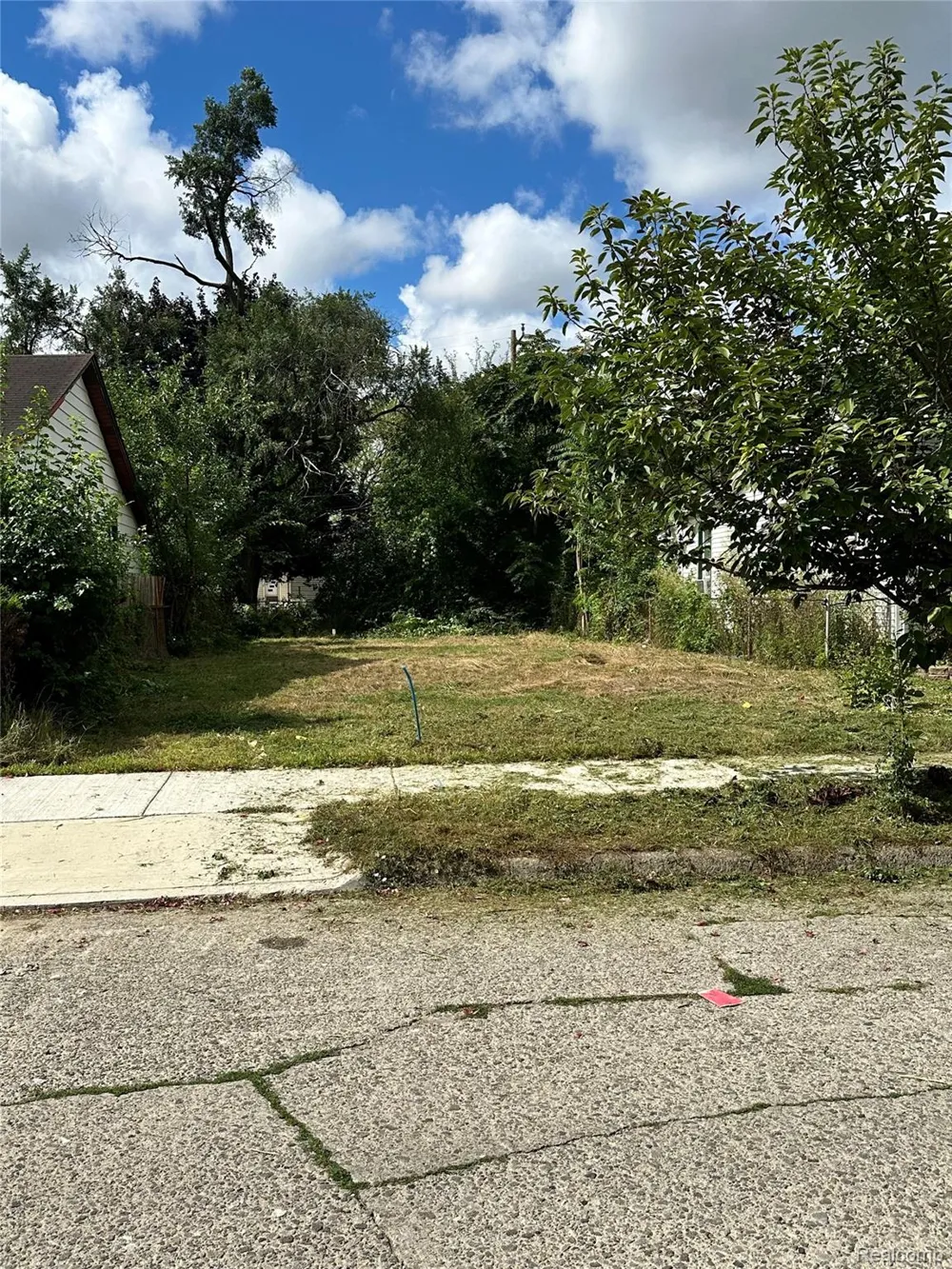 2105 Morris Avenue Lincoln Park City, MI 48146