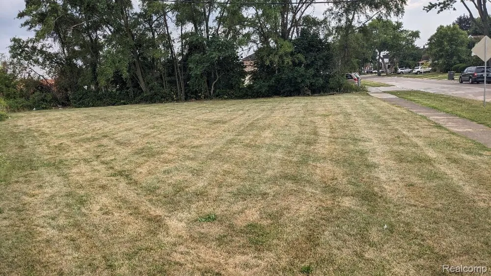 7120 TERNES Dearborn City, MI 48126