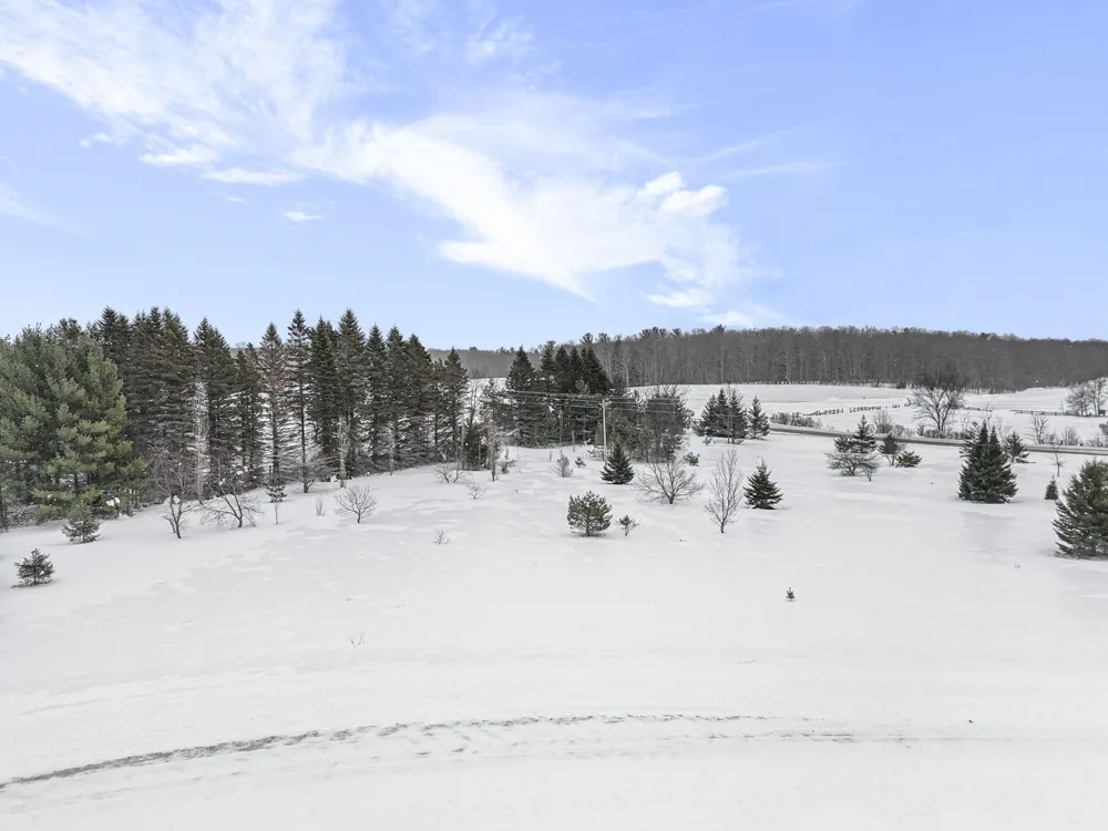 Misty Lane Almira Township, MI 49650